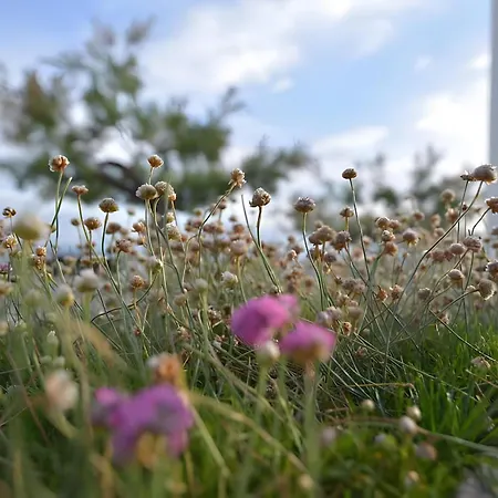 Con Encanto Raices Lägenhet Santander