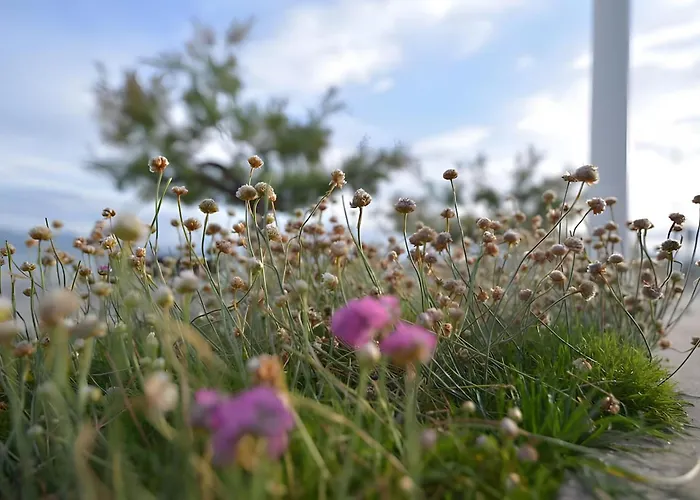 Con Encanto Raices アパート サンタンデール